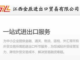江西金辰进出口有限公司